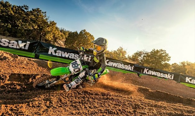 Kawasaki KX Mini 2021