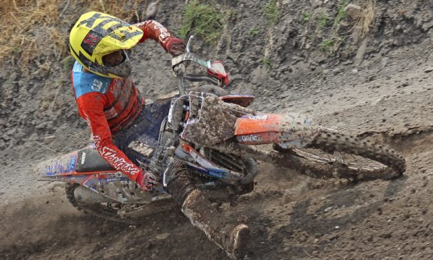 Sin Seguro, Licencia Federada