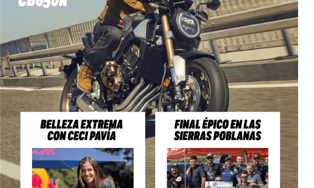 La edición #8 está en línea