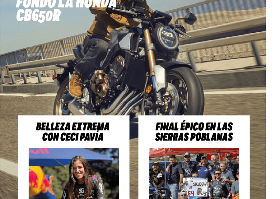 La edición #8 está en línea