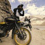 Amor a primer rugido: seguridad en compañía