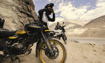 Amor a primer rugido: seguridad en compañía