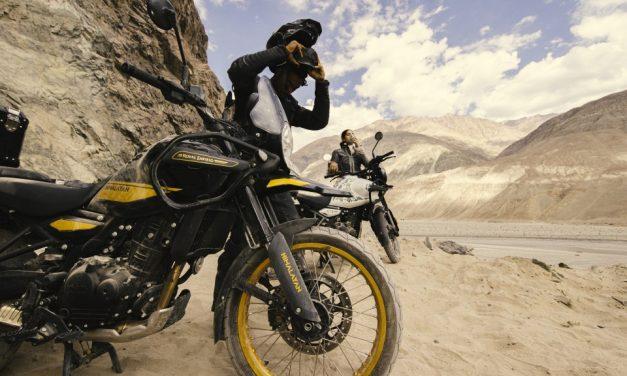 Amor a primer rugido: seguridad en compañía