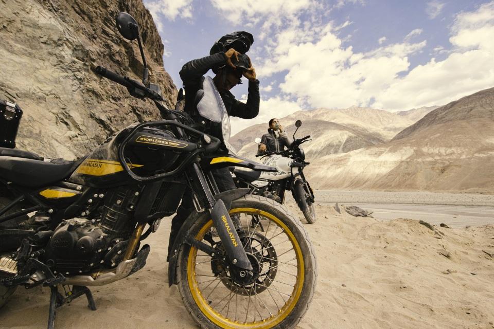 Amor a primer rugido: seguridad en compañía