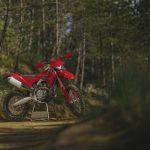 Ducati de enduro: Desmo450 EDS