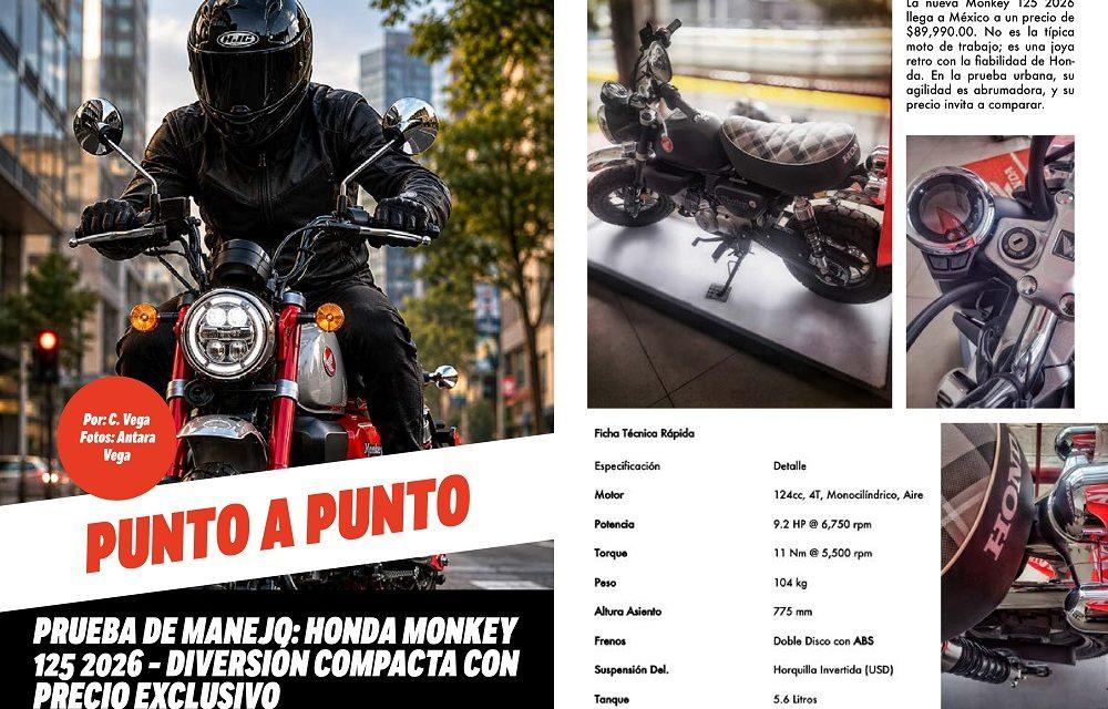 Honda Monkey 125 2026, una joya retro