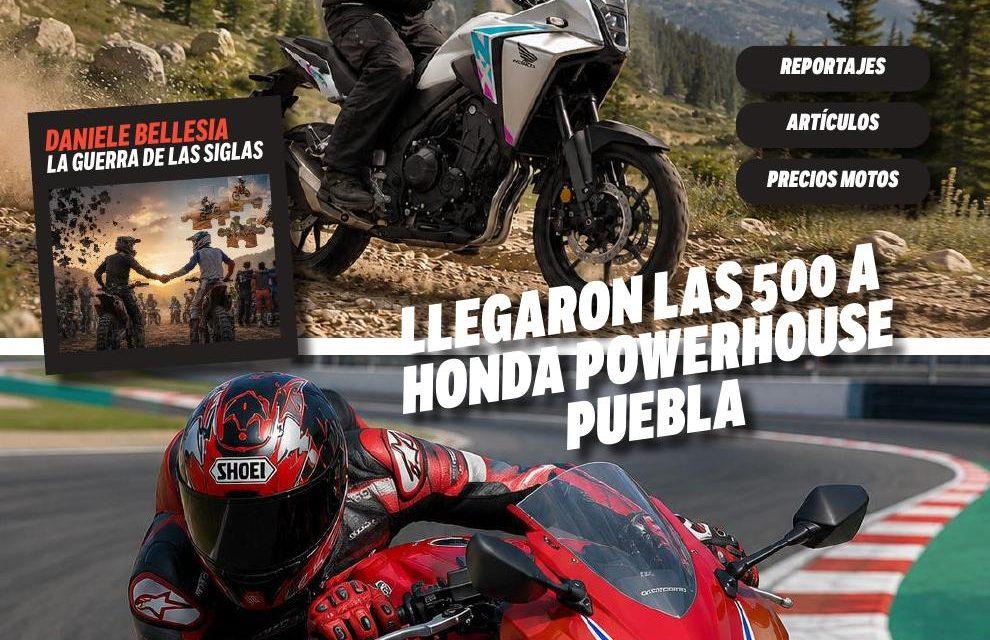 La Edición 15 está en línea